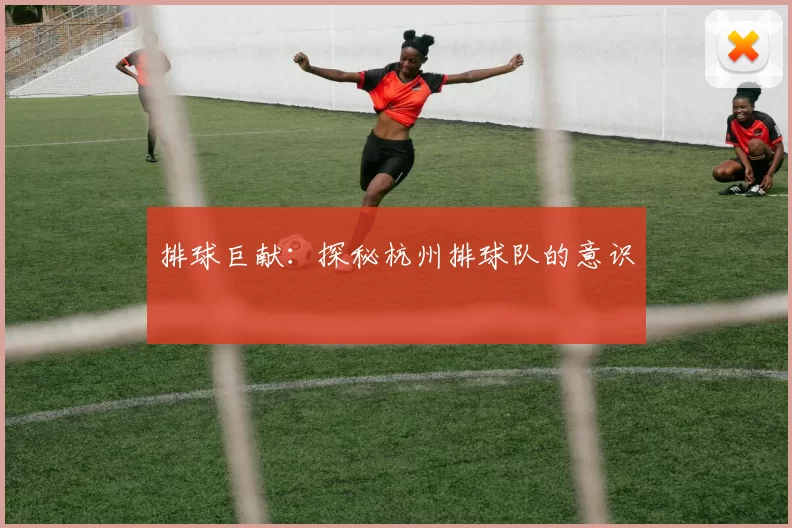 排球巨献：探秘杭州排球队的意识